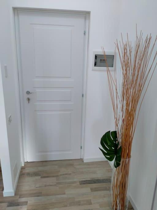 Suite Room Malpensa B&B 카르다노알캄포 외부 사진